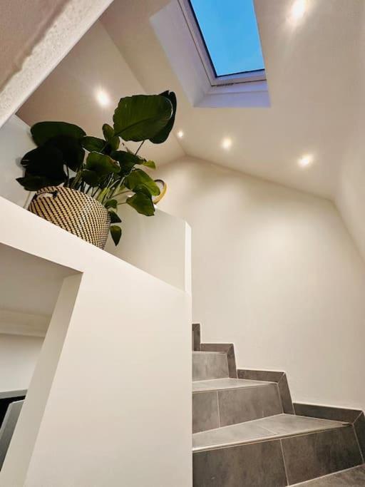 Superbe Maison A Proximite Du Centre De Strasbourg Bischheim Ngoại thất bức ảnh