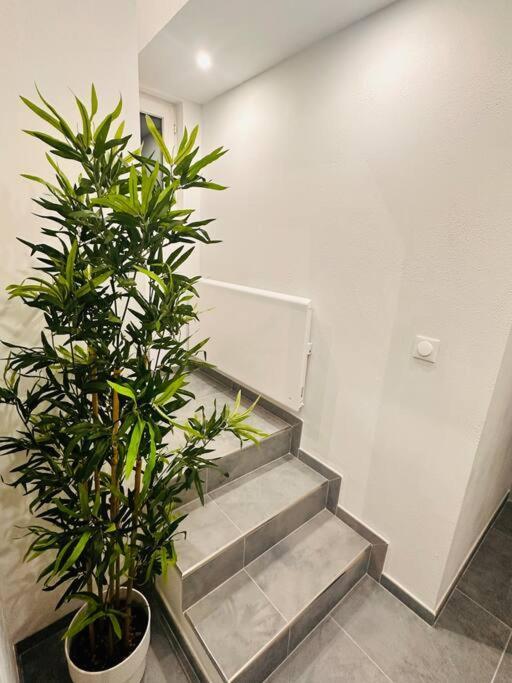 Superbe Maison A Proximite Du Centre De Strasbourg Bischheim Ngoại thất bức ảnh