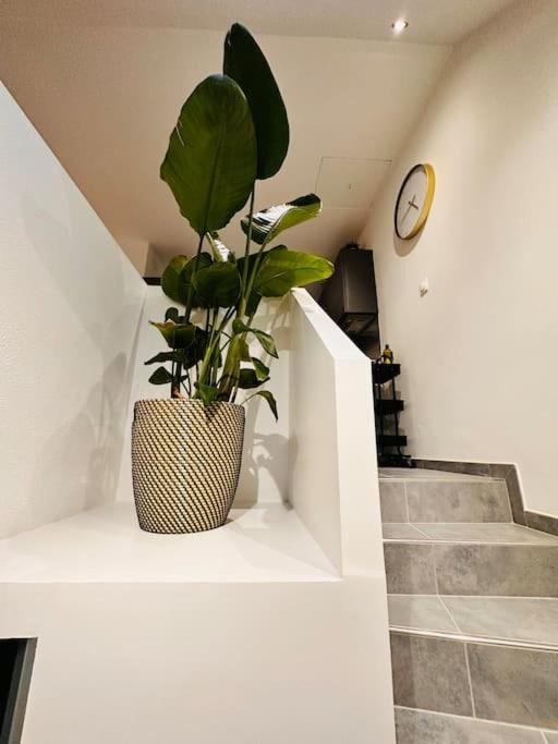Superbe Maison A Proximite Du Centre De Strasbourg Bischheim Ngoại thất bức ảnh