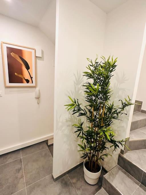 Superbe Maison A Proximite Du Centre De Strasbourg Bischheim Ngoại thất bức ảnh